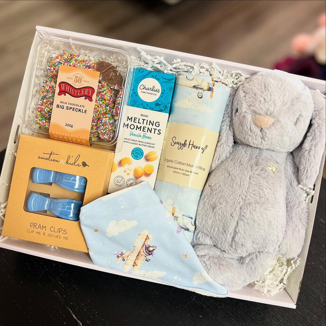 Taking Flight Baby Boy Gift Box