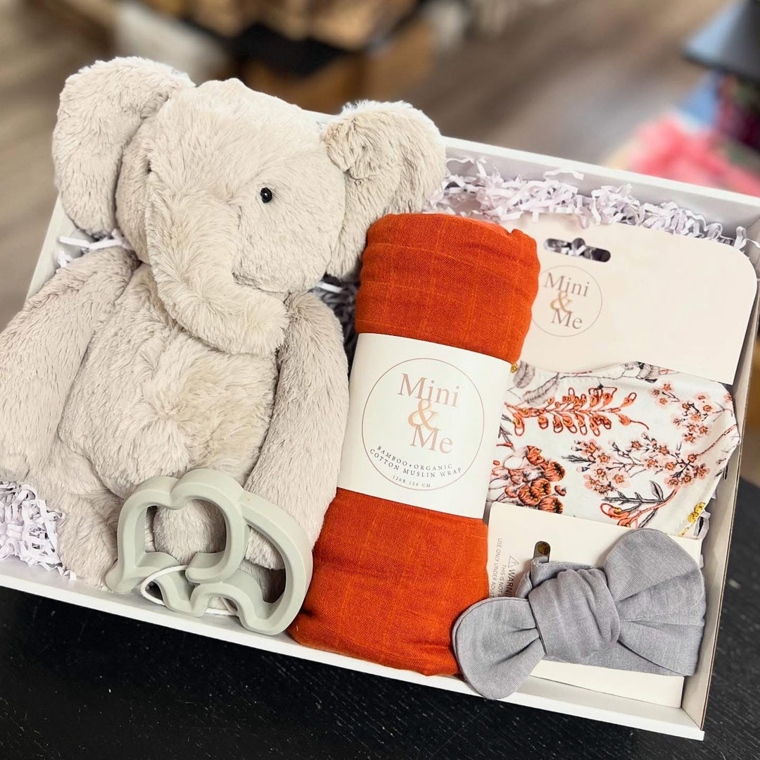 Autumn Elephant Baby Girl Gift Box