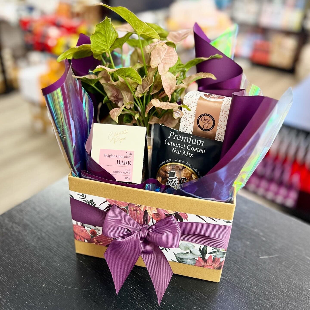 Living Gift + Sweet Treats Open Hamper