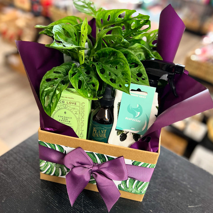 ‘The Plant Lover’ Open Gift Hamper