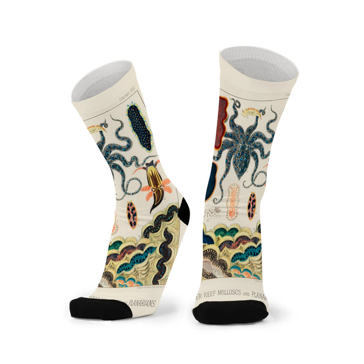 Red Fox Sox - Father’s Day Options