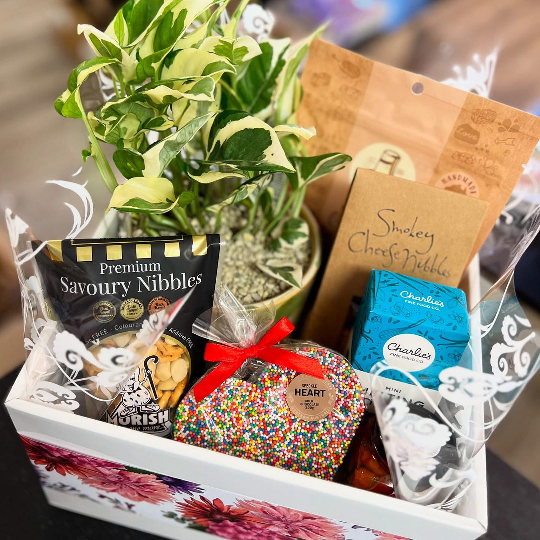 Thinking of You Living Gift Hamper