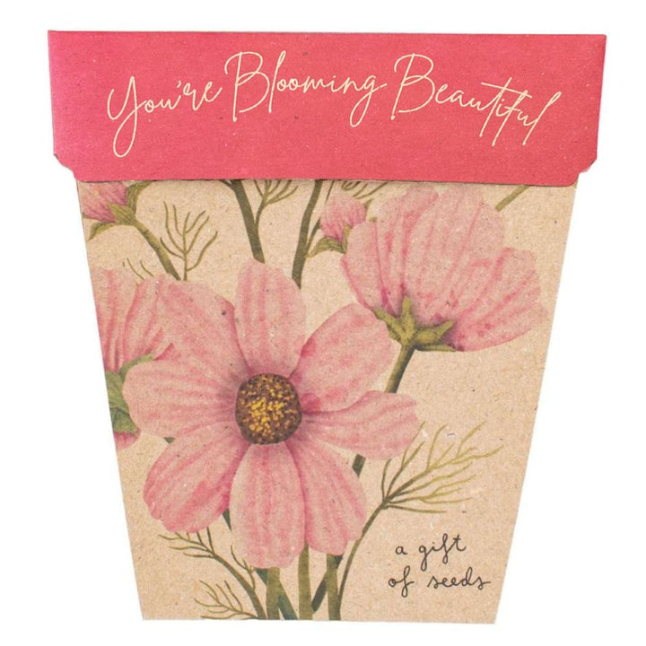 Sow 'n Sow Gift of Seeds (Assorted)