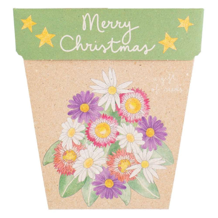 Sow 'n Sow Gift of Seeds (Assorted)