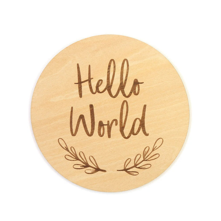 Snuggle Hunny Wooden Milestone Discs