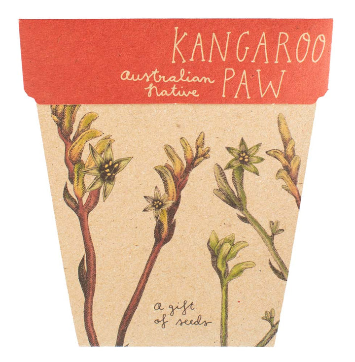 Sow 'n Sow Gift of Seeds (Assorted)