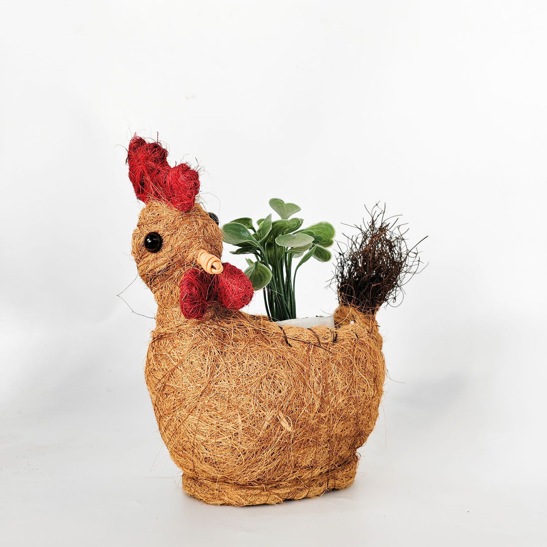 HUSK Rooster Planter Brown 26cm