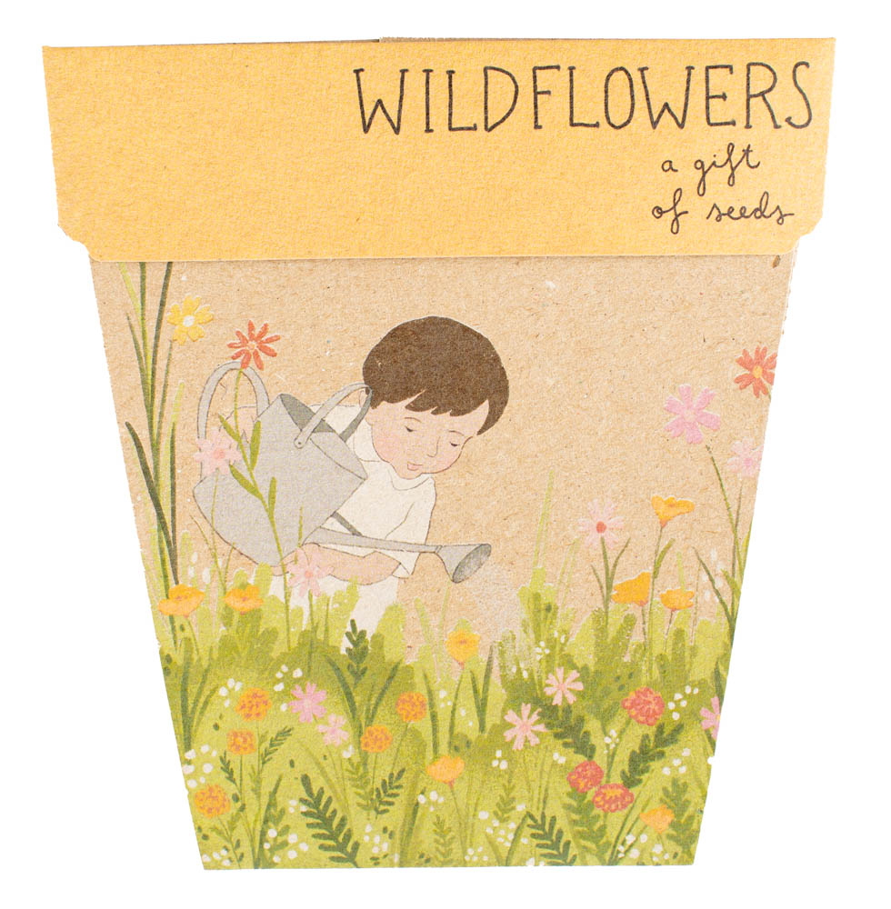 Sow 'n Sow Gift of Seeds (Assorted)